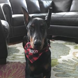 Meet your Posher, Kelly